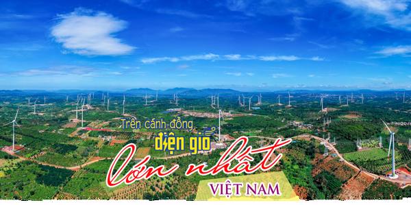 Trên cánh đồng điện gió lớn nhất Việt Nam